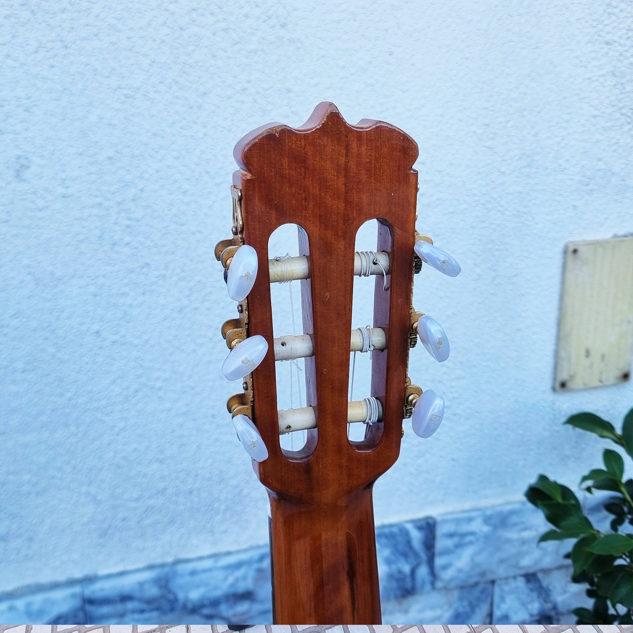 Guitarra Takamine Jasmine TC-48 MC